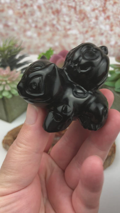 Black Obsidian Bulbasaur